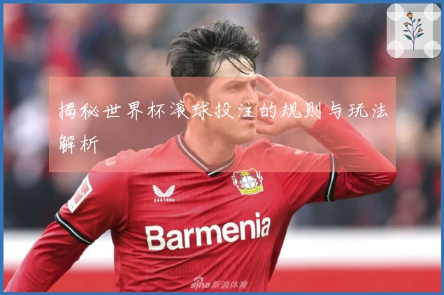 揭秘世界杯滚球投注的规则与玩法解析