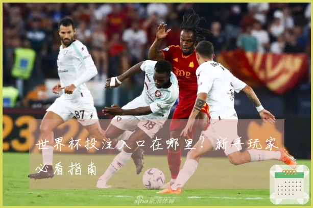 世界杯投注入口在哪里？新手玩家必看指南
