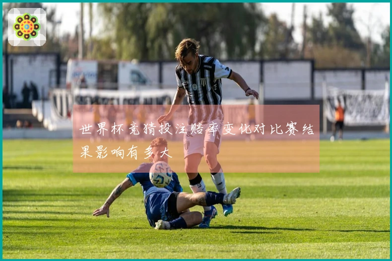 世界杯竞猜投注赔率变化对比赛结果影响有多大