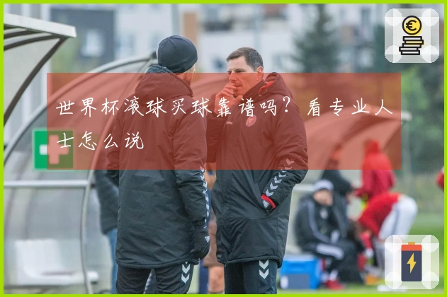 世界杯滚球买球靠谱吗？看专业人士怎么说