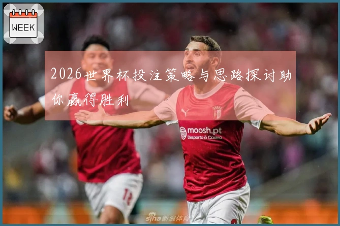 2026世界杯投注策略与思路探讨助你赢得胜利