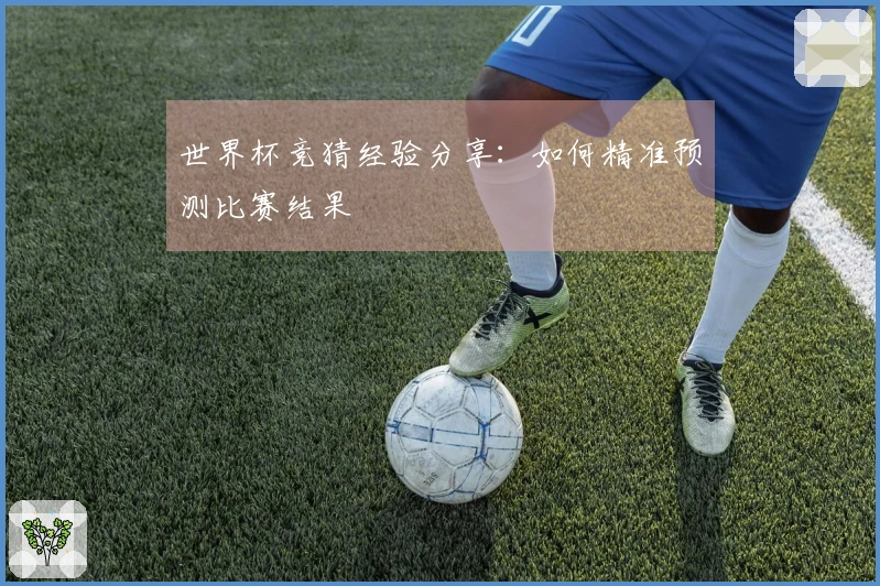 世界杯竞猜经验分享：如何精准预测比赛结果