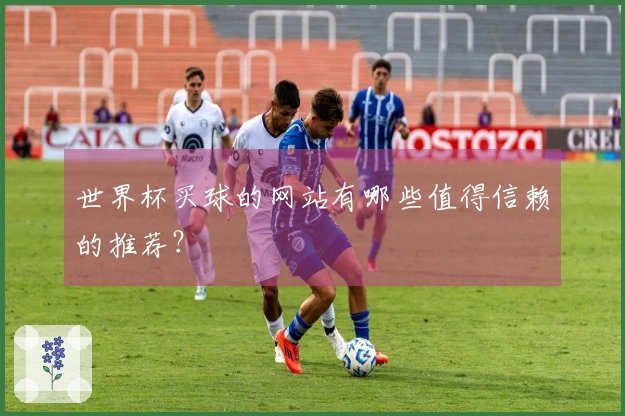 世界杯买球的网站有哪些值得信赖的推荐？