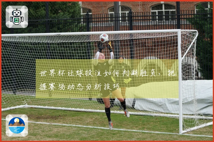 世界杯让球投注如何判断胜负，把握赛场动态分析技巧