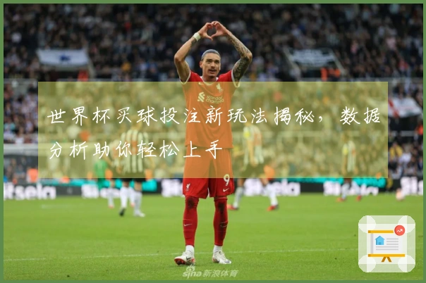 世界杯买球投注新玩法揭秘，数据分析助你轻松上手