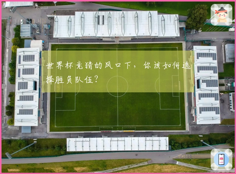 世界杯竞猜的风口下，你该如何选择胜负队伍？