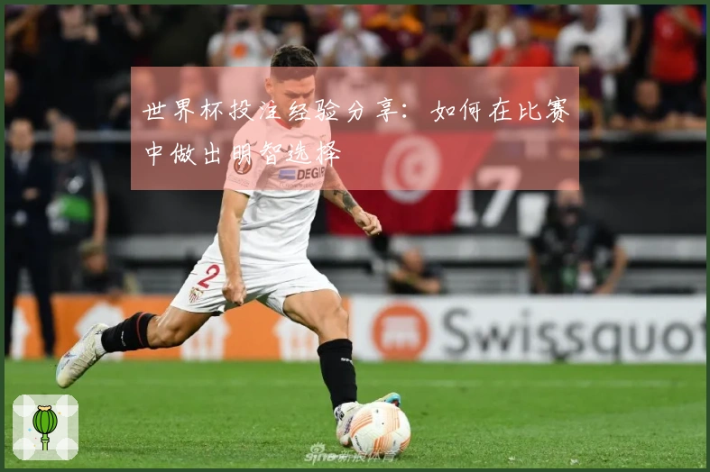 世界杯投注经验分享：如何在比赛中做出明智选择