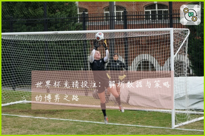 世界杯竞猜投注：解析数据与策略的博弈之路