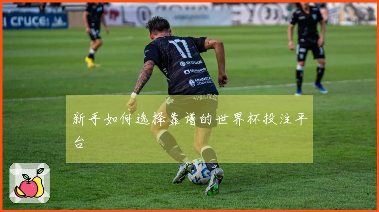 新手如何选择靠谱的世界杯投注平台