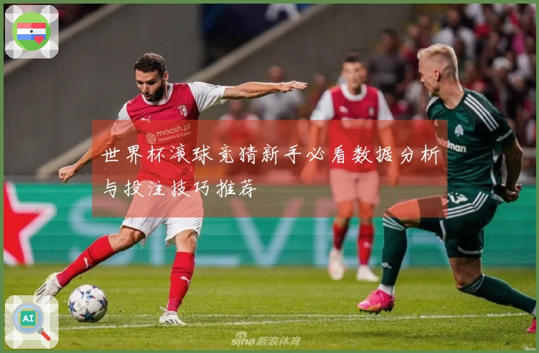 世界杯滚球竞猜新手必看数据分析与投注技巧推荐